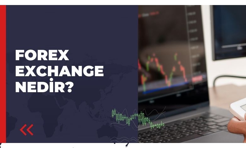 Forex Exchange Nedir Nasıl Kullanılır 2024